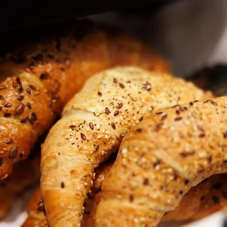 Ξενοδοχείο Kongress 4*