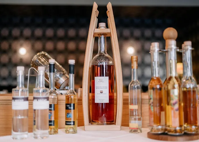 콩그레스 호텔 4*